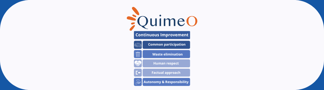 The Kaizen method